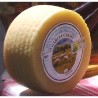 Queso VILVESTRE CURADO 1/4